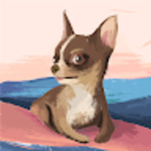 Meet your Posher, Emma